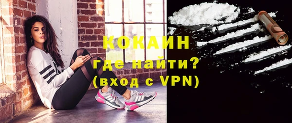 молекула духа Надым