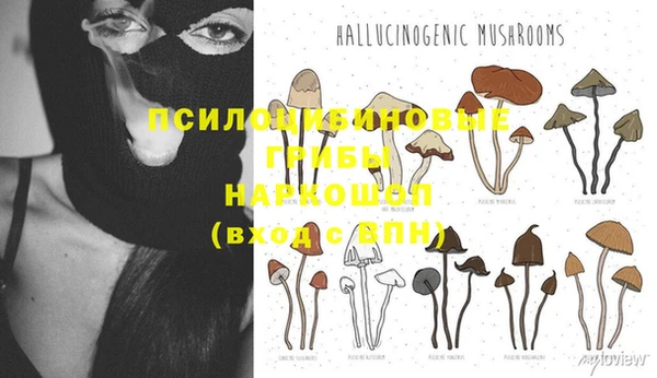 Альфа ПВП Навашино