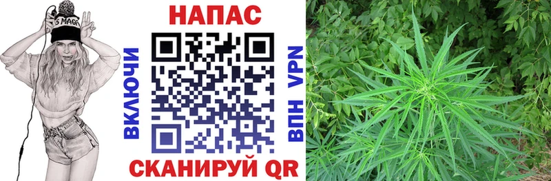 Бошки марихуана THC 21%  купить наркоту  Ростов 